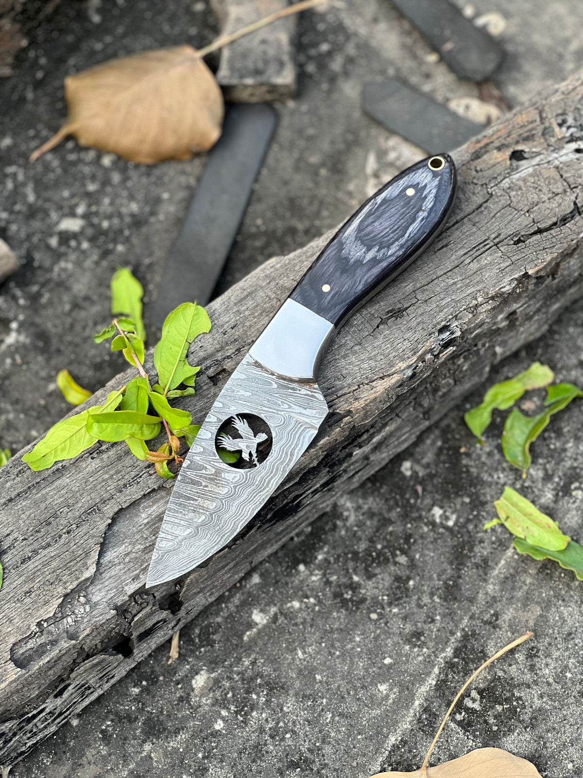 The 8-Inch Wood Handle Hunting Knife | Texan Knives
