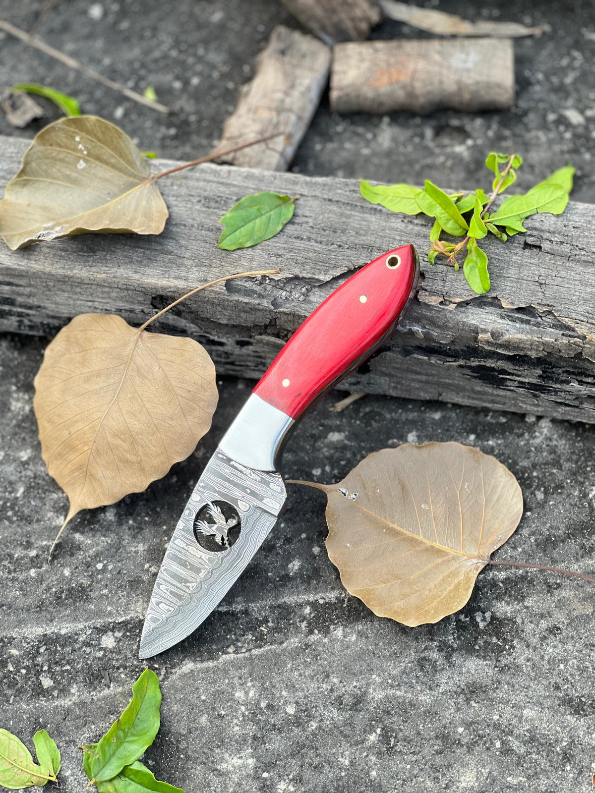 The Wood Handle Damascus Hunting Knife | Texan Knives