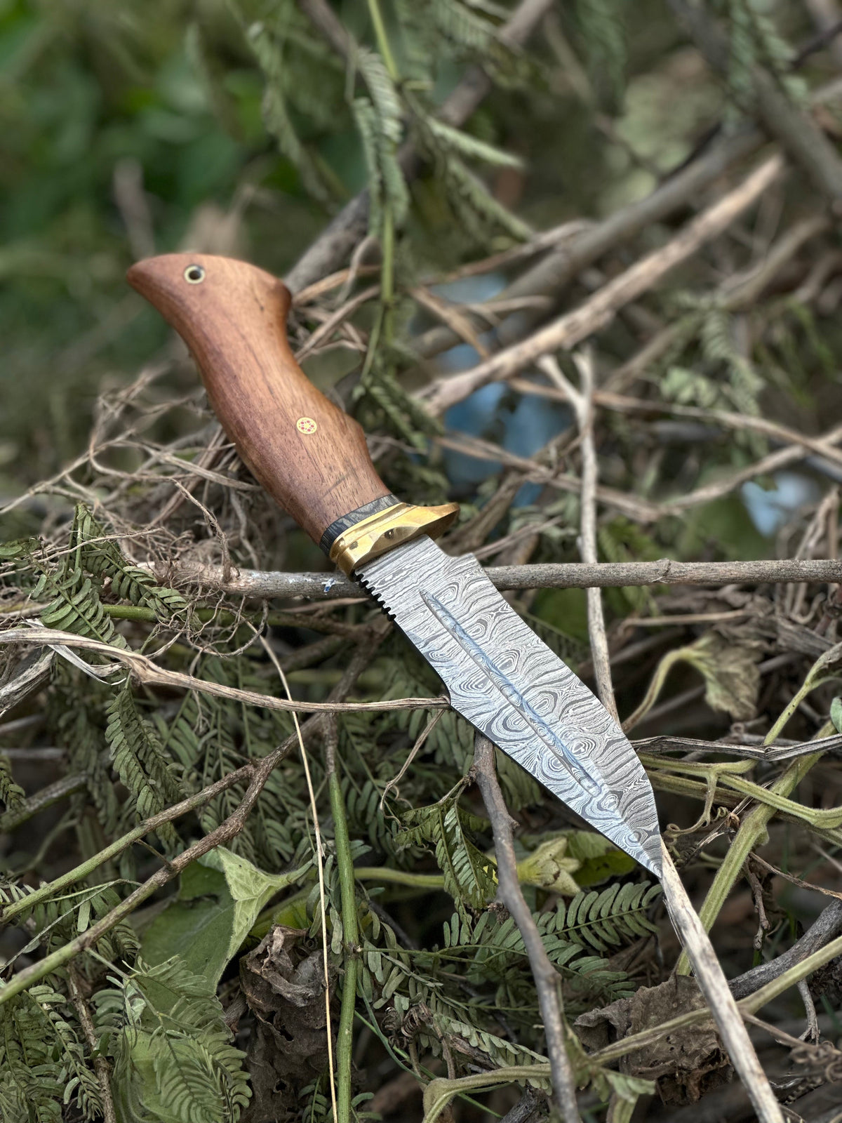 The 5-Inch Rosewood Brass Guard Hunting Knife | Texan Knives