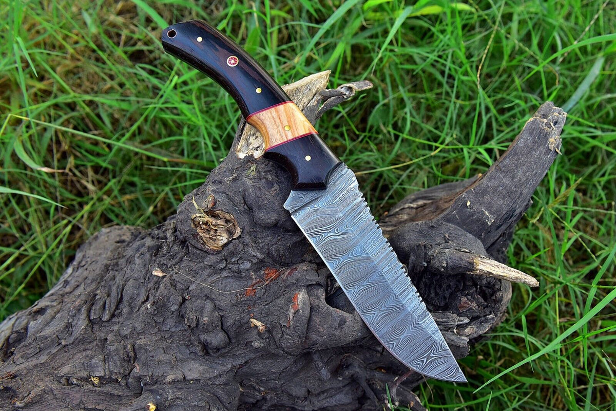 Damascus skinning knife with buffalo horn and olive wood handle