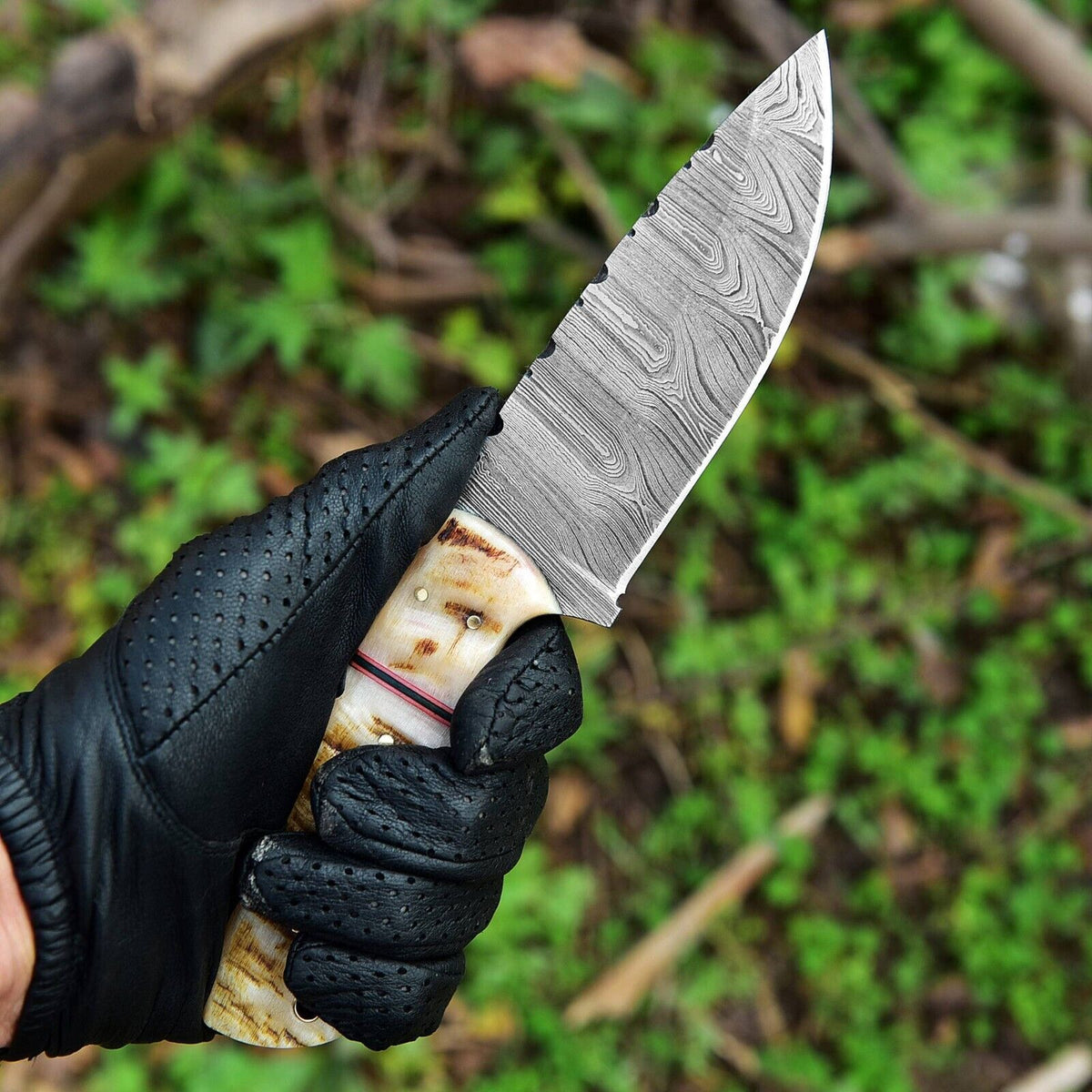 The Sheep Horn Handle Damascus Skinning Knife | Texan Knives