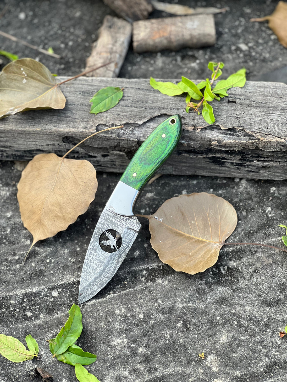 The 4-Inch Pakkawood Damascus Skinner | Texan Knives