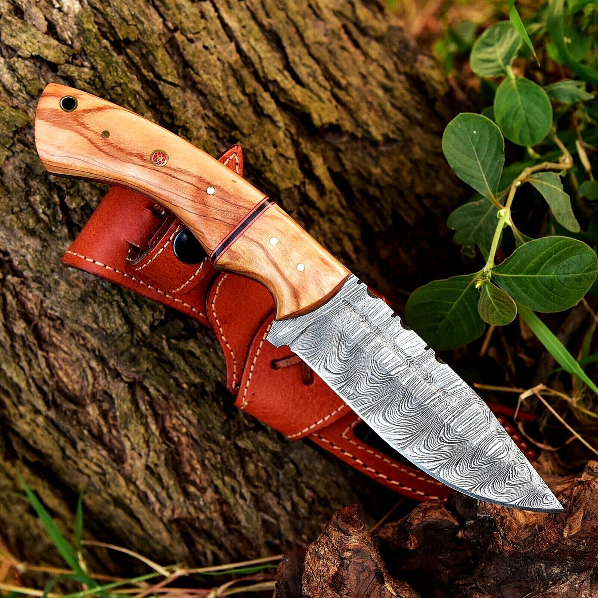 The 10-Inch Olive Wood Hunting Knife | Texan Knives
