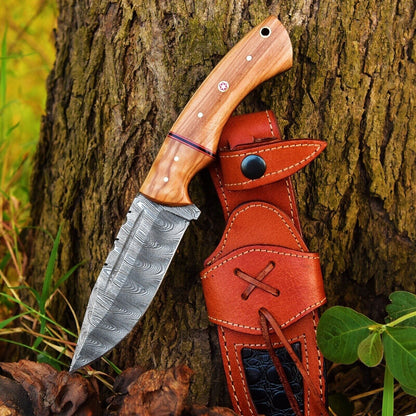 Damascus steel hunting knife with olive wood handle and leather sheath