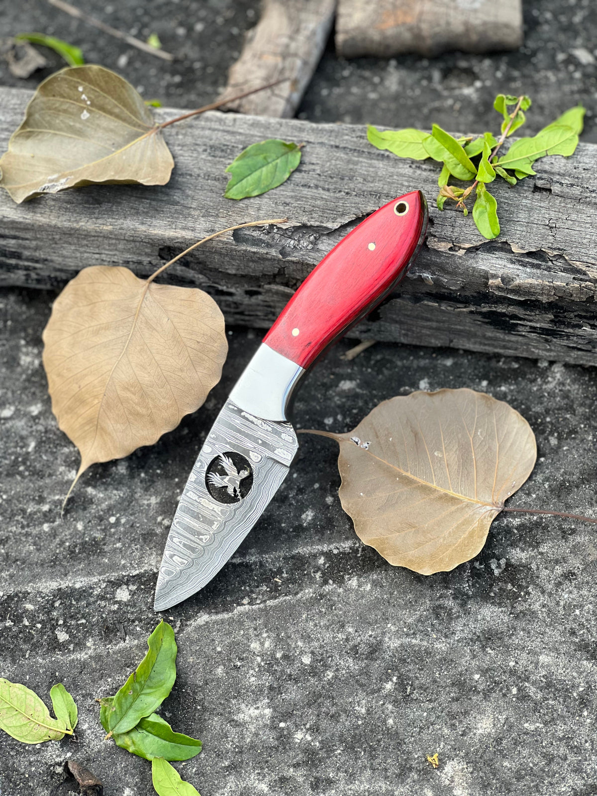 Damascus steel fixed blade knife with wood handle and leather sheath