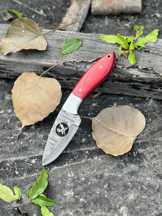 Damascus steel fixed blade knife with wood handle and leather sheath