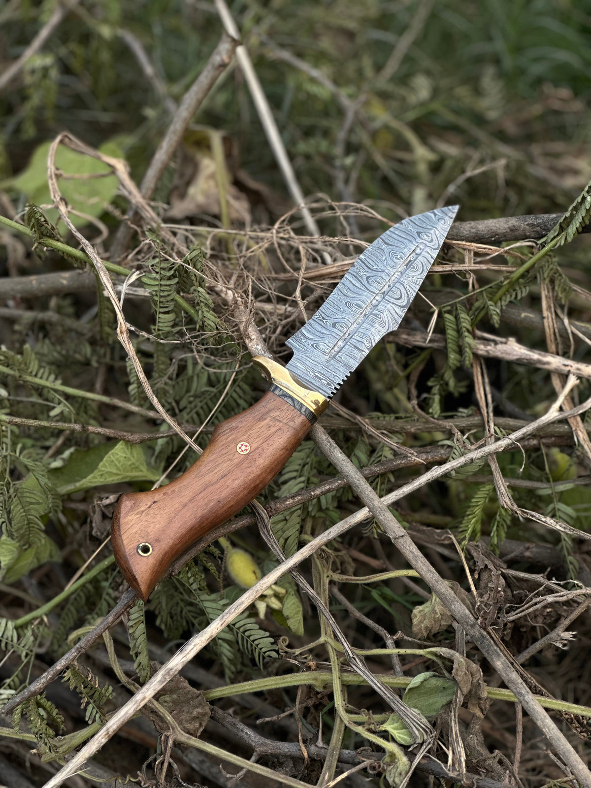The 5-Inch Rosewood Brass Guard Hunting Knife | Texan Knives
