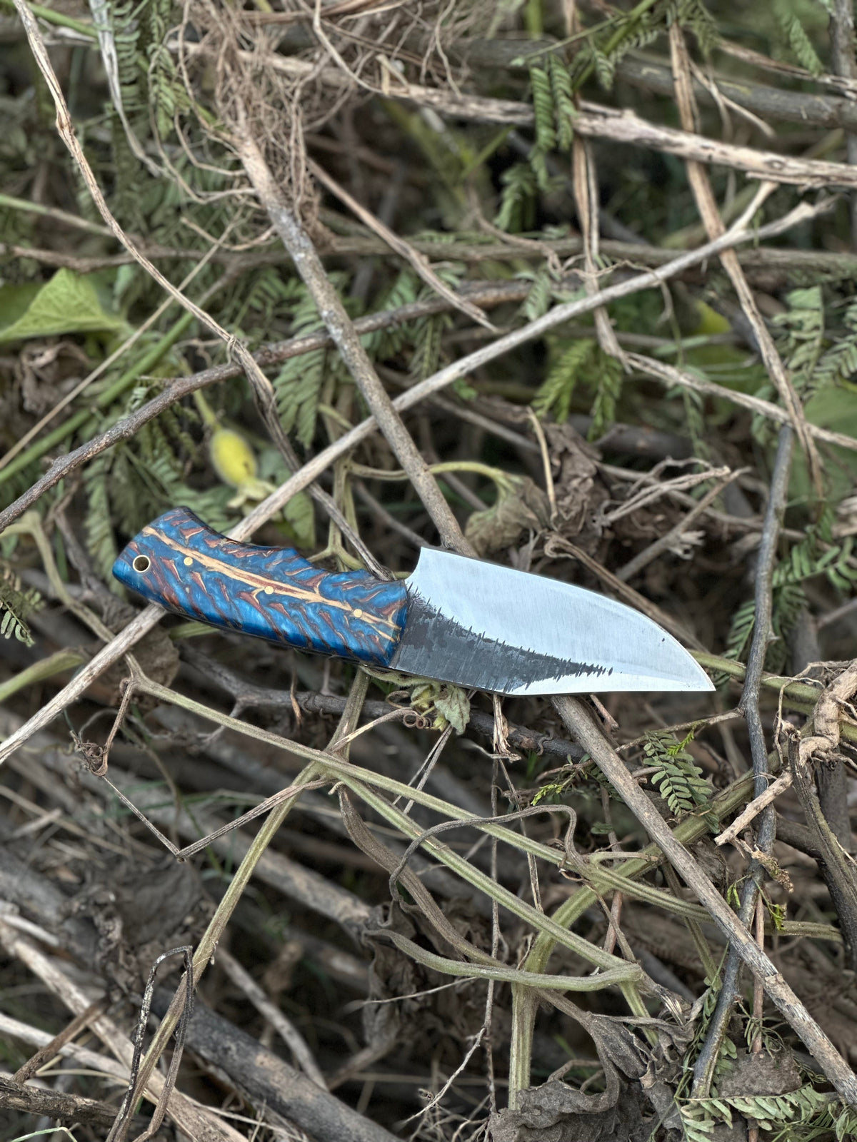 The D2 Pine Cone Resin Hunting Knife | Texan Knives