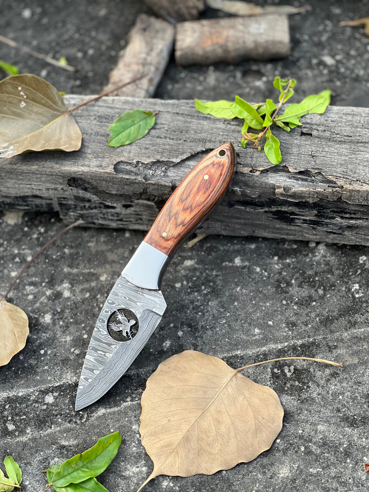 Wire-Cut Damascus Skinner, Pakkawood Handle by Texan Knives, view 2