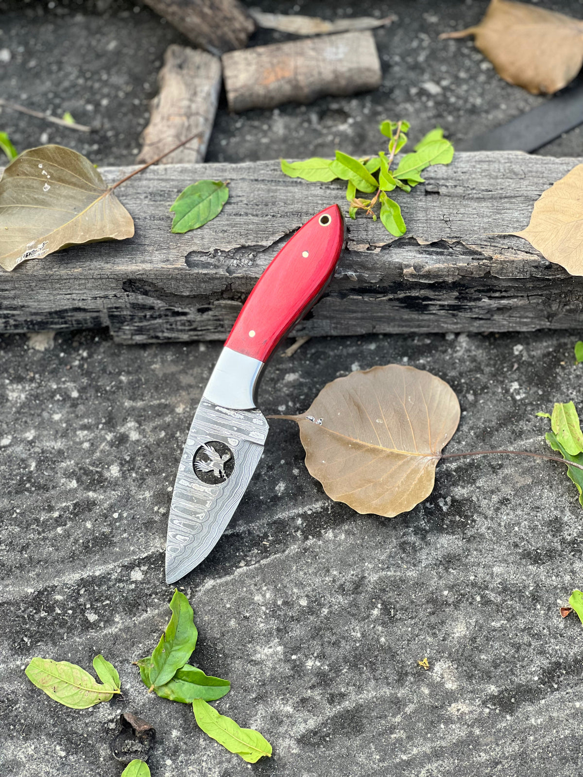 The Wood Handle Damascus Hunting Knife | Texan Knives