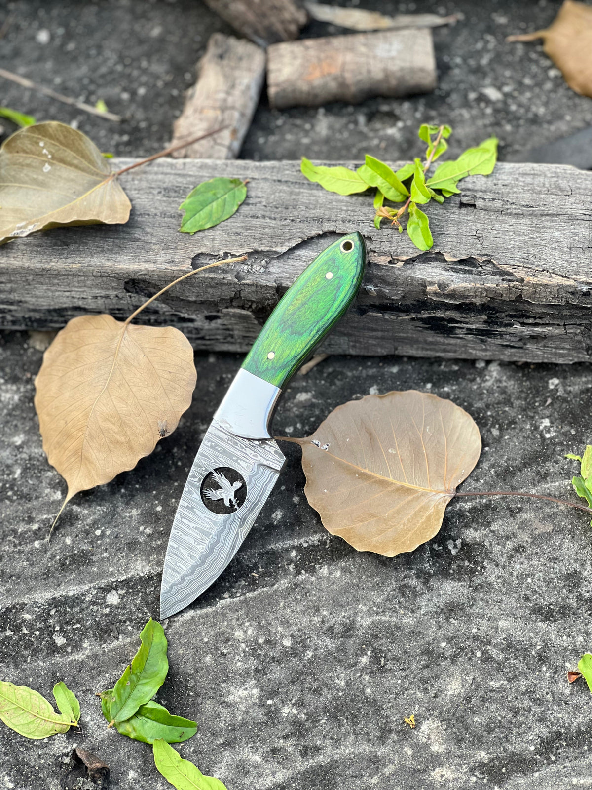 Damascus skinner knife with pakkawood handle and leather sheath