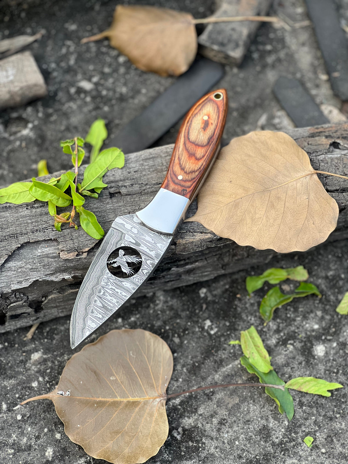 Damascus skinner knife with pakkawood handle and leather sheath