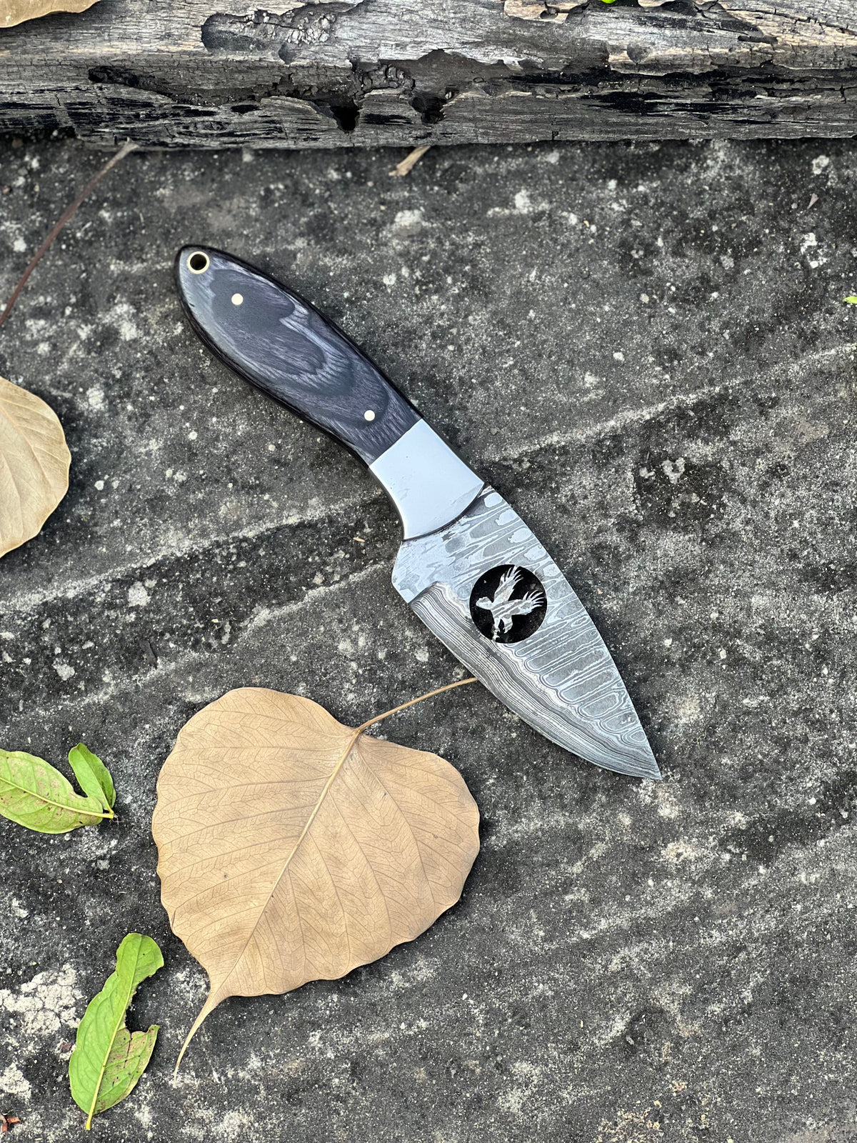 The 8-Inch Wood Handle Hunting Knife | Texan Knives