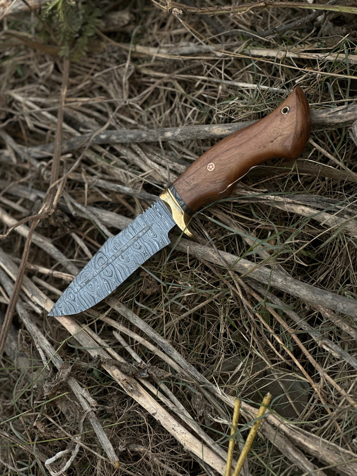 The 5-Inch Rosewood Brass Guard Hunting Knife | Texan Knives