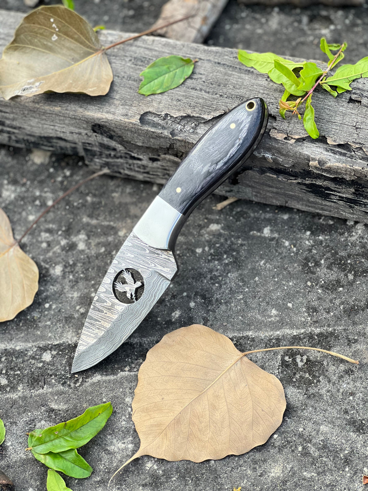 The 8-Inch Wood Handle Hunting Knife | Texan Knives