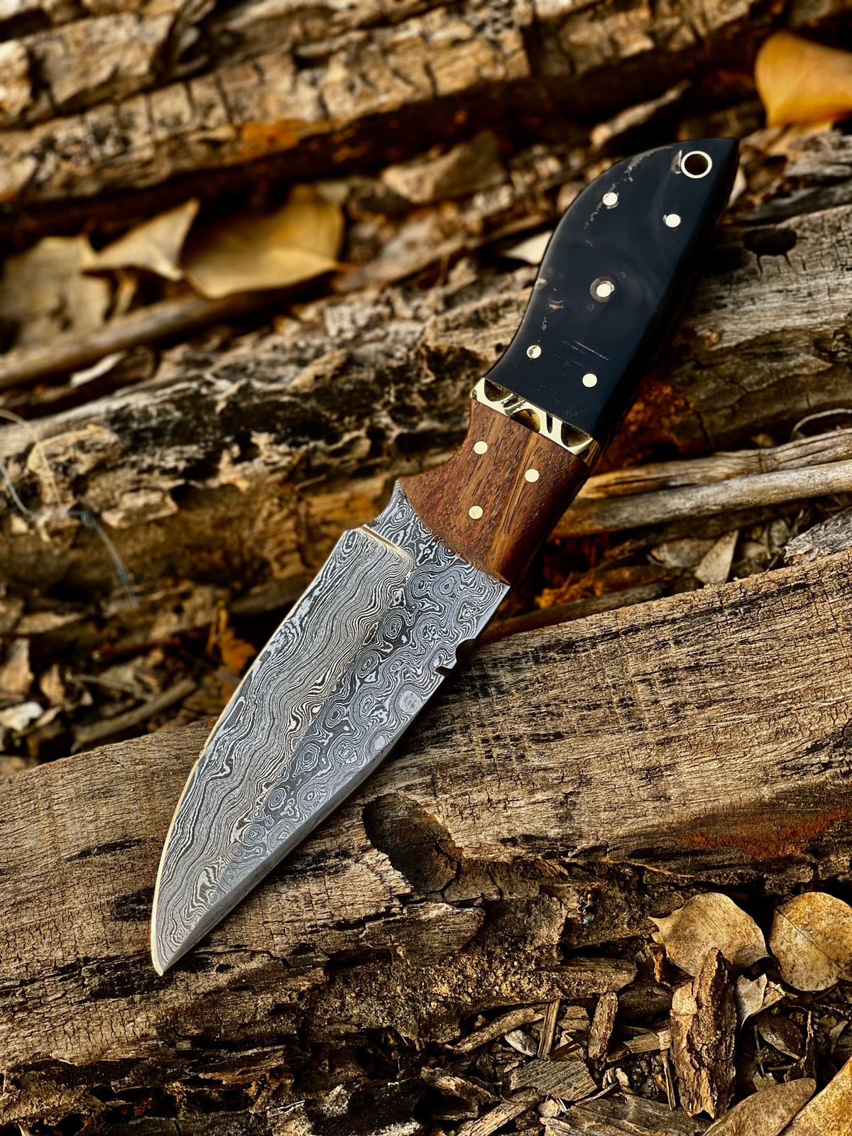 Damascus Skinning Knife, Buffalo Horn and Rosewood by Texan Knives, view 2