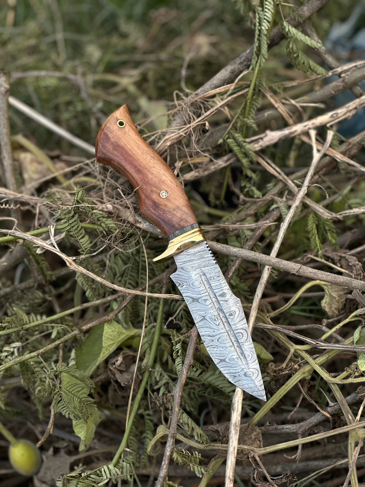 The 5-Inch Rosewood Brass Guard Hunting Knife | Texan Knives