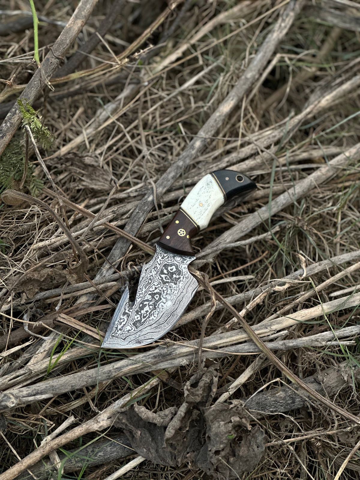Damascus guthook skinning knife with rosewood and camel bone handle and leather sheath