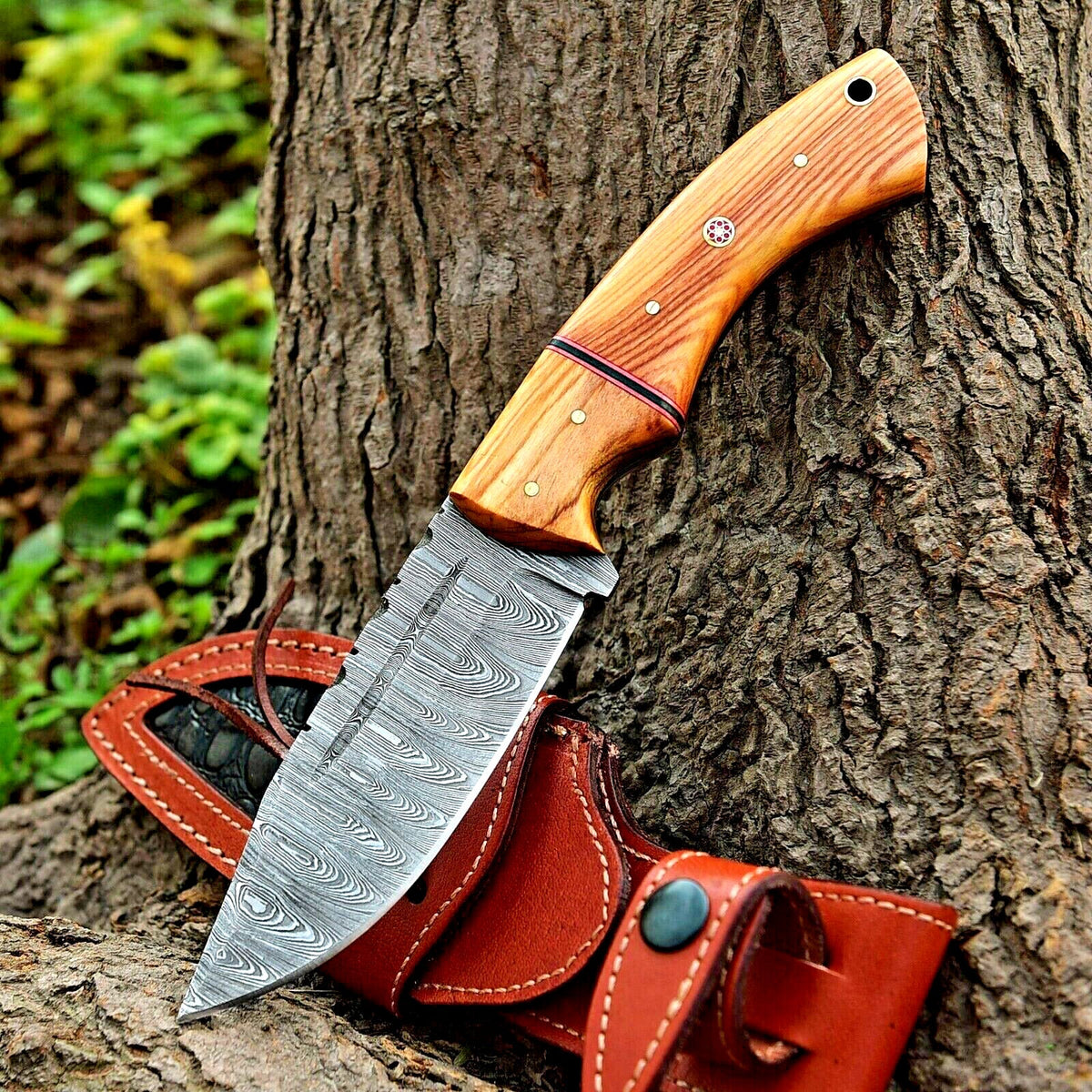 The 10-Inch Olive Wood Hunting Knife | Texan Knives