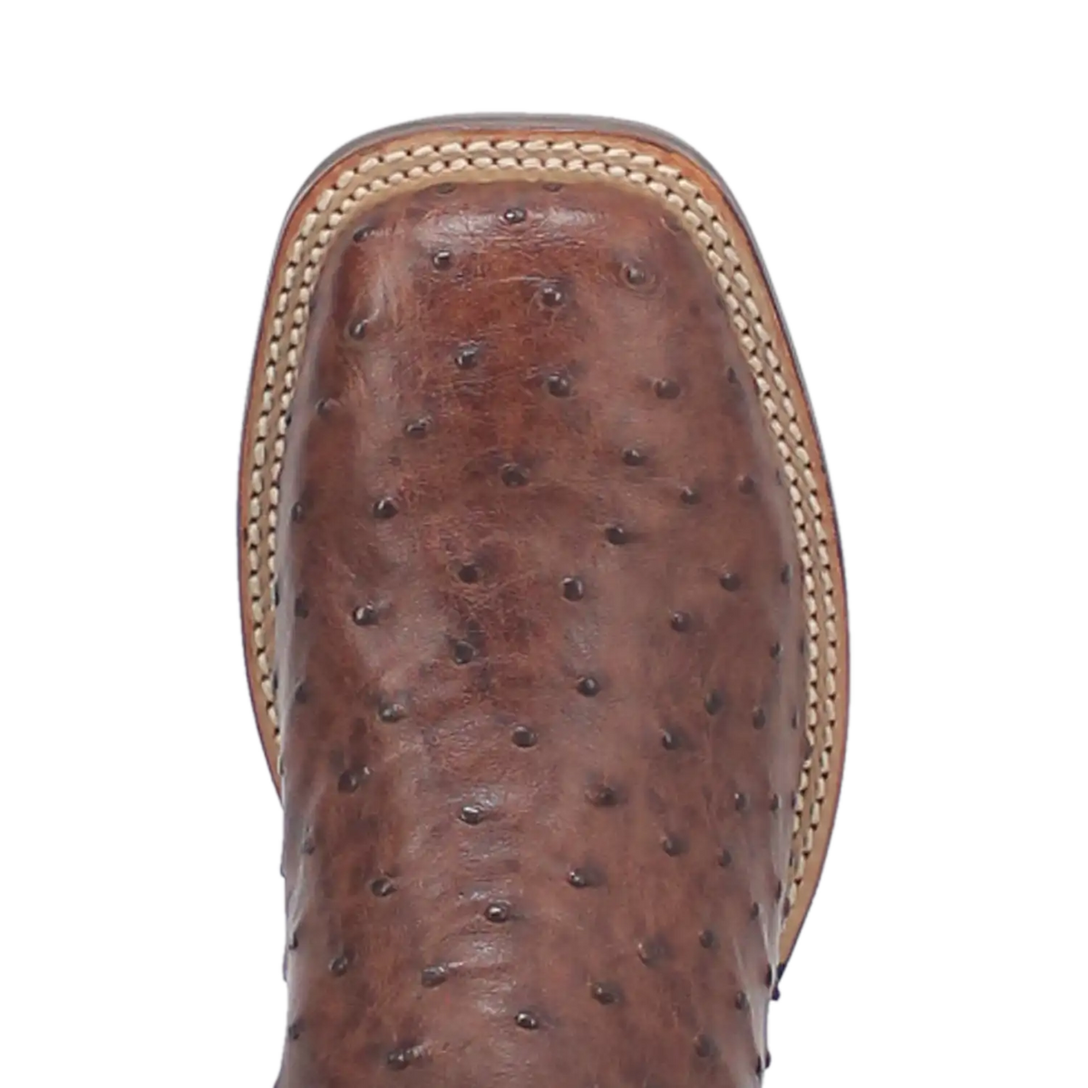 Brown Ostrich Square Toe Boot by HatCountry, view 4