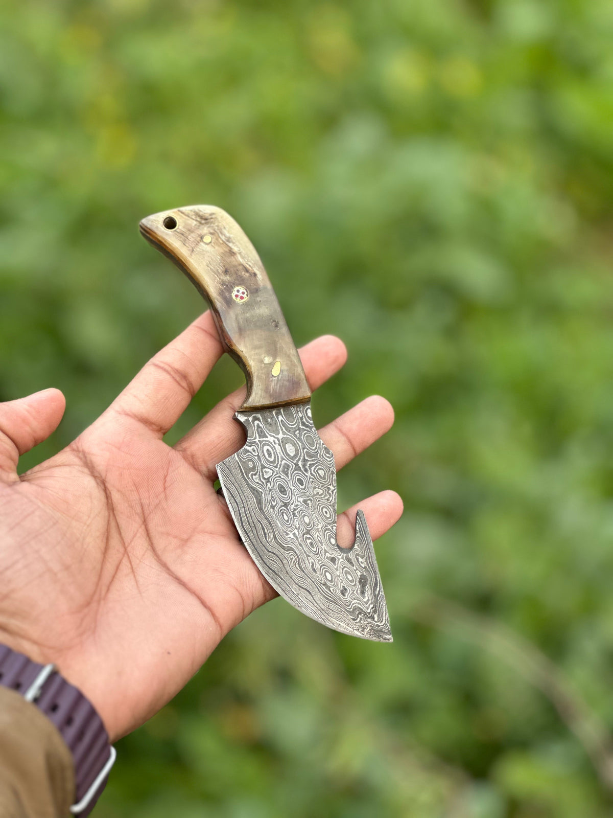 The Sheep Horn Guthook Skinner | Texan Knives