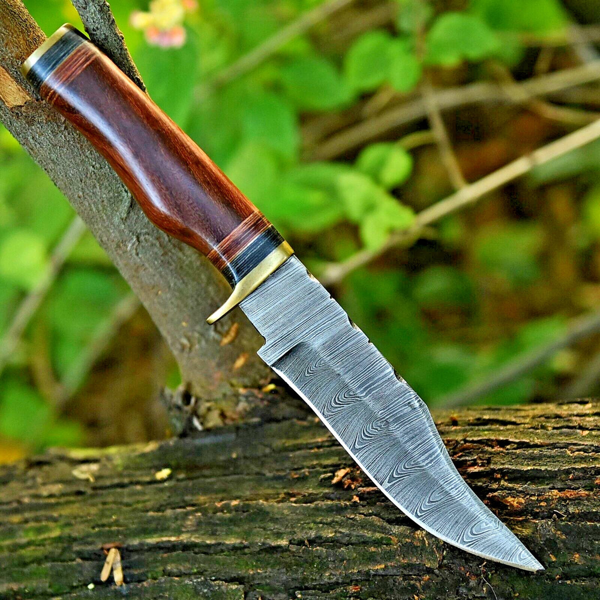 Damascus hunting knife with a resin pakkawood handle and brass guard