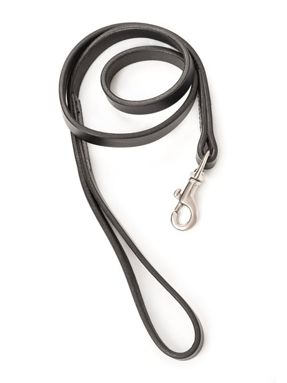 Black leather dog leash with metal clip