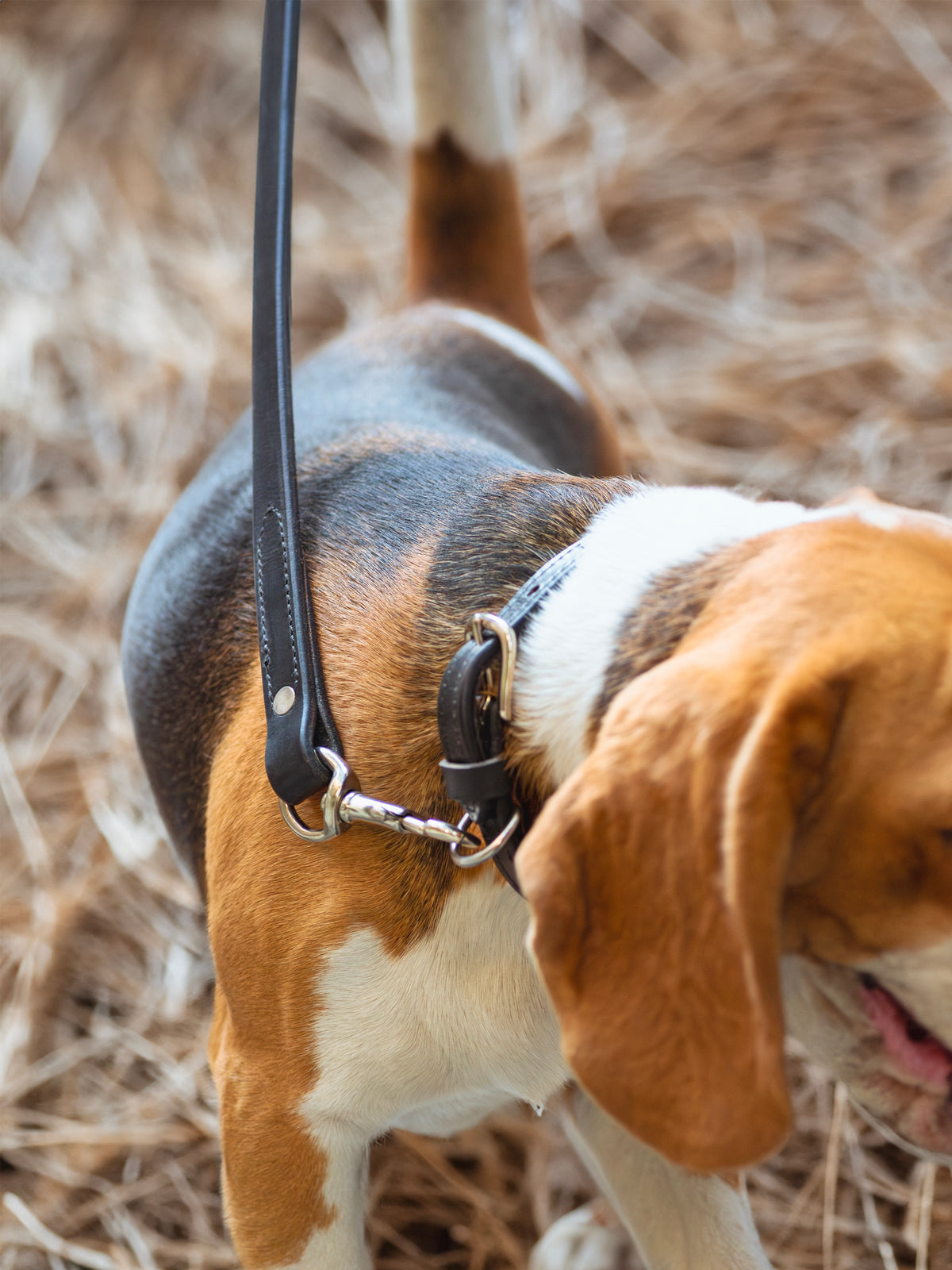 Black leather dog leash with metal clip, view 4