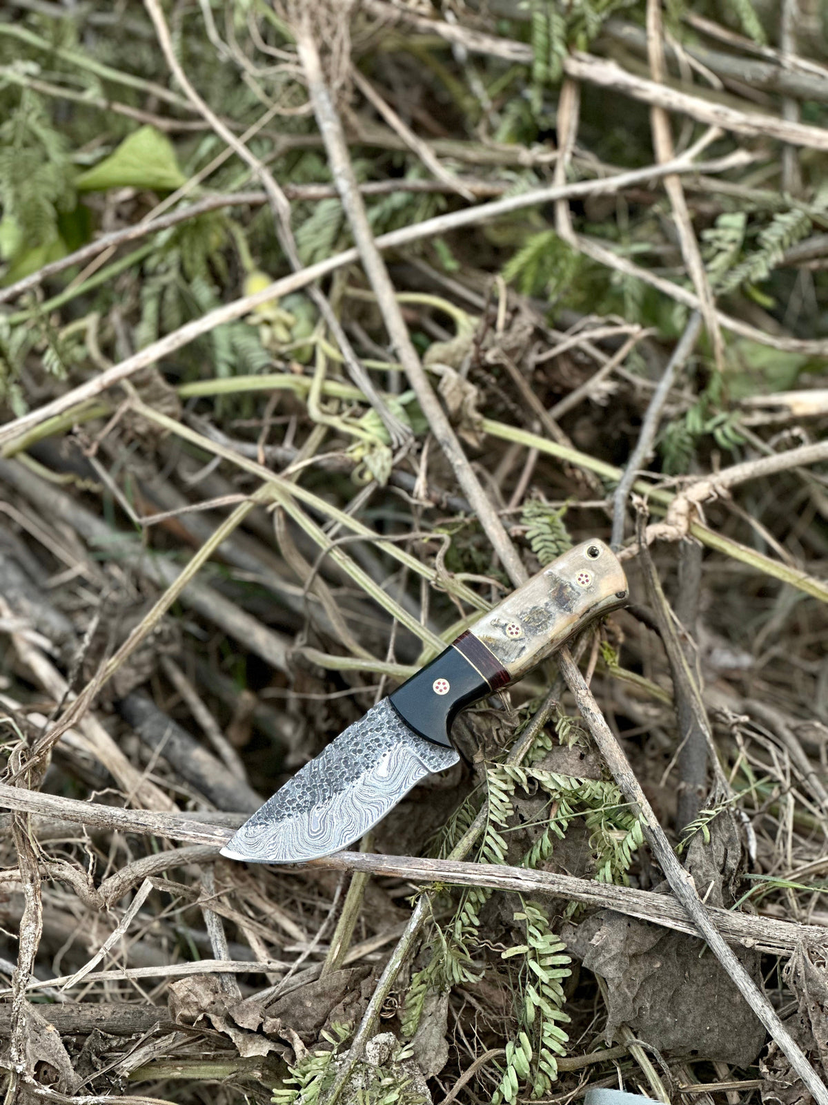 The Sheep Horn Damascus Hunting Knife | Texan Knives