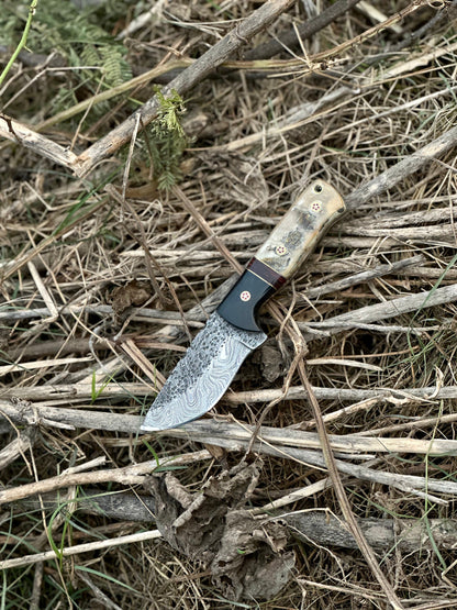 Damascus hunting knife with natural sheep horn handle and leather sheath