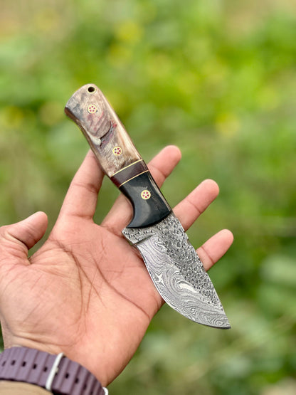 The Sheep Horn Damascus Hunting Knife | Texan Knives
