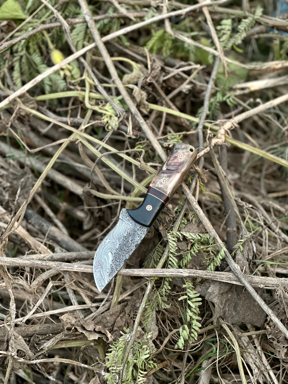 The Sheep Horn Damascus Hunting Knife | Texan Knives
