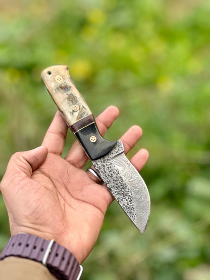 The Sheep Horn Damascus Hunting Knife | Texan Knives