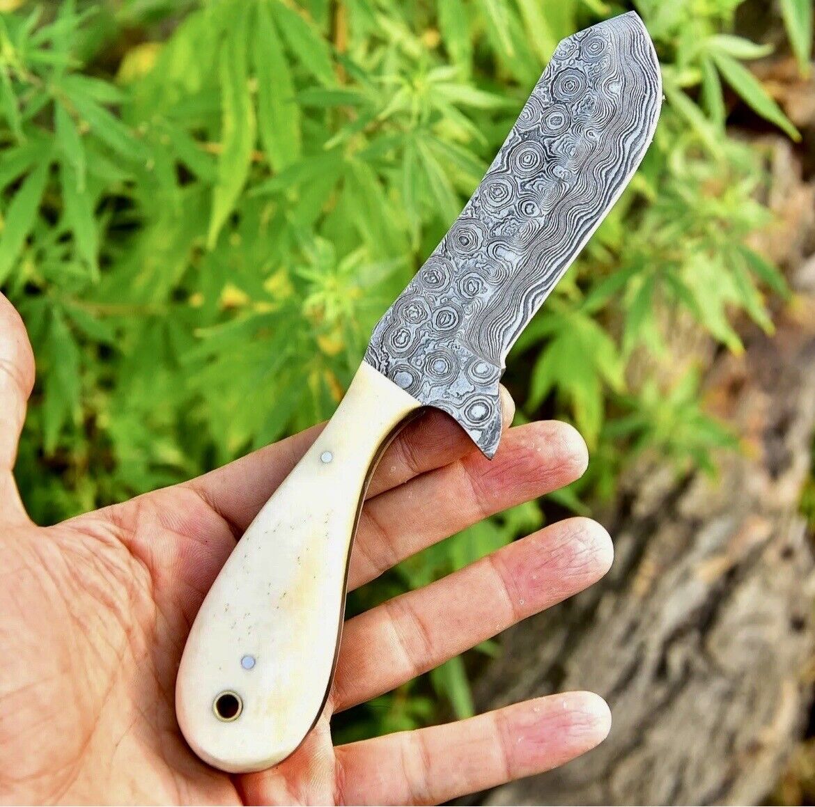 Small Damascus steel fixed-blade knife with camel bone handle and Western leather sheath