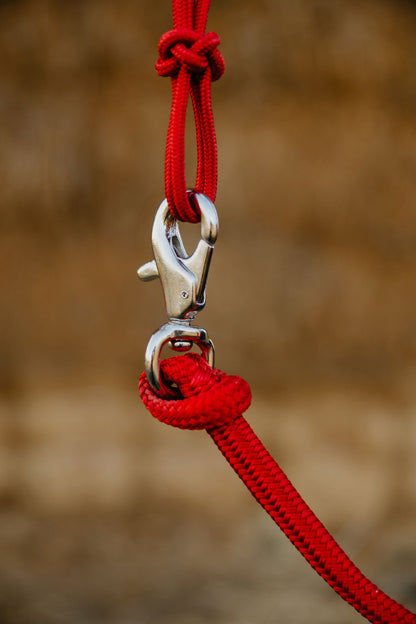 4 Knot Halter and Lead Set