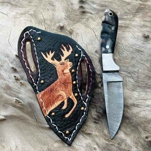 Damascus bull cutter knife with sheep horn handle, steel bolster, and leather sheath