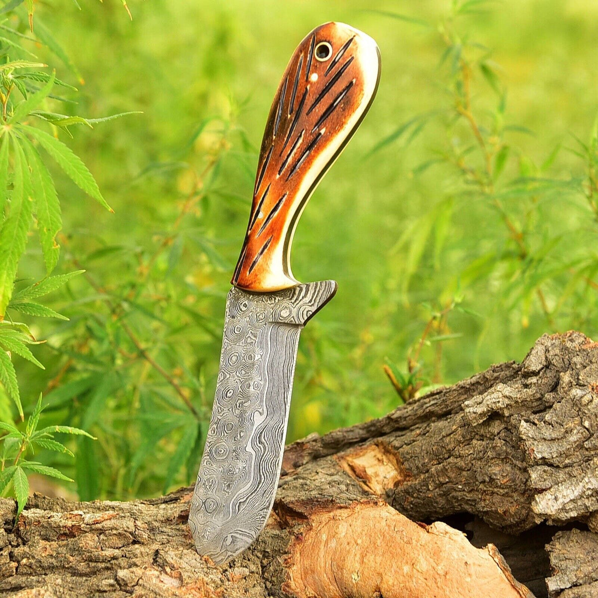 The 4-Inch Camel Bone Ranch Knife | Texan Knives