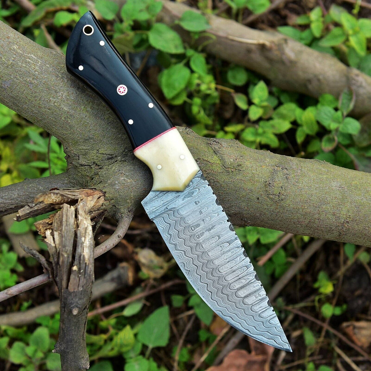 The Buffalo Horn and Camel Bone Skinner No. 877 | Texan Knives