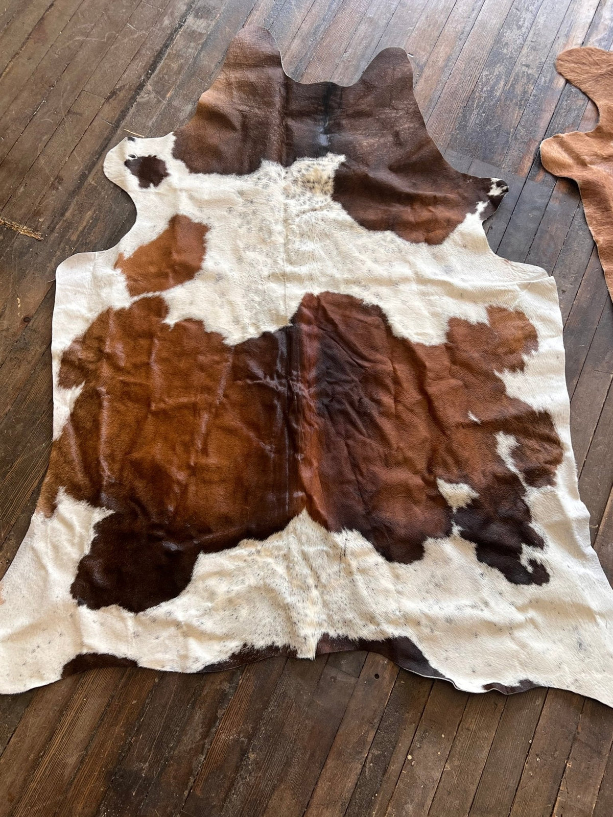 The Brazilian Cowhide Rug, 6.5 × 4.5 ft | Cowhide and Conchos