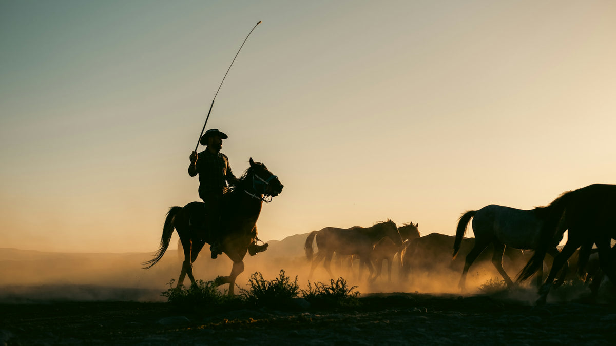 Cowboy with a lariat driving horses through golden dust at sundown