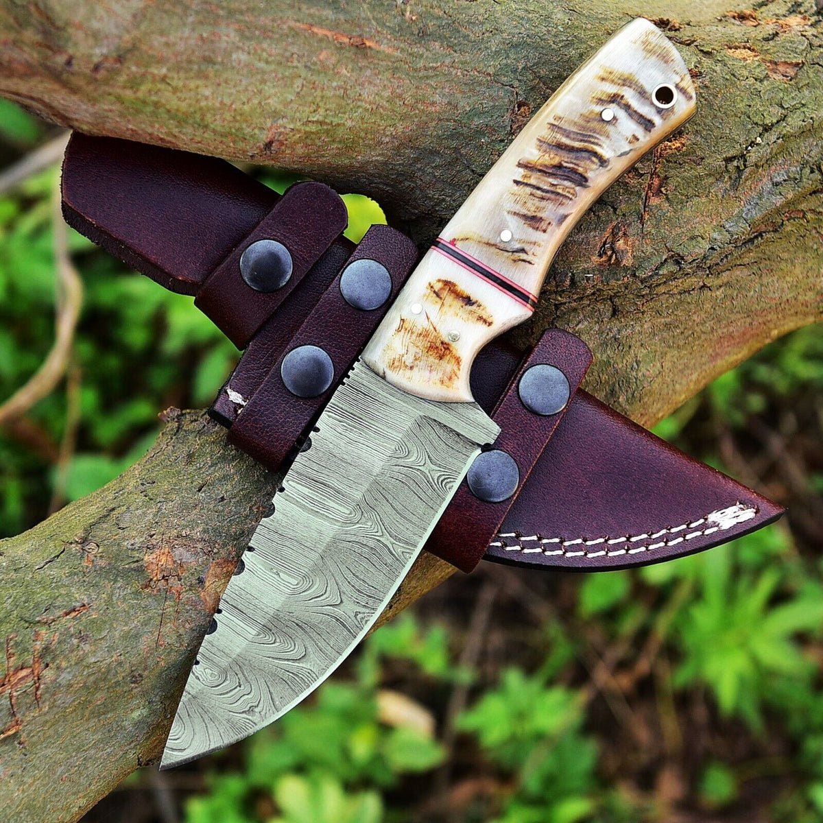 Damascus skinning knife with a natural sheep horn handle