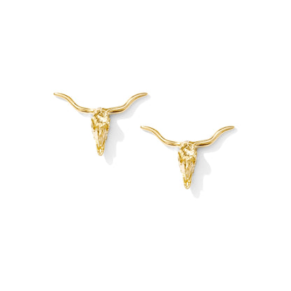 Gold plated Texas Longhorn cufflinks, view 3